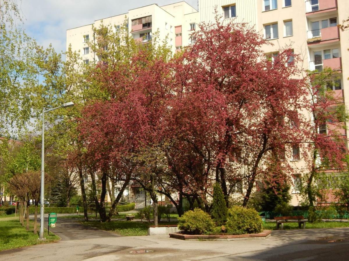 Ferienwohnung Apartament Luxury Business Saska Kepa Warschau Exterior foto
